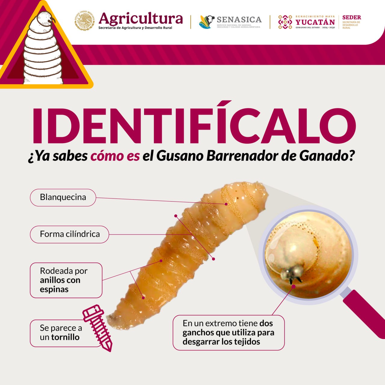 imagen-cuerpo imagen-cuerpo