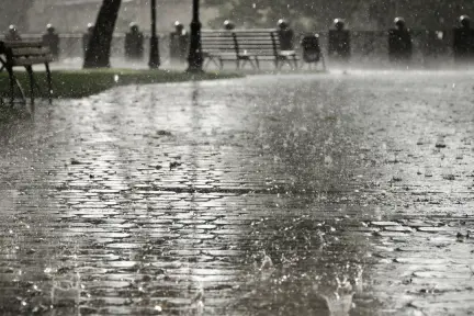 Clima en Edomex para este 11 de julio ¿cuál será el pronóstico del clima para este viernes? Clima en Edomex para este 11 de julio ¿cuál será el pronóstico del clima para este viernes?
