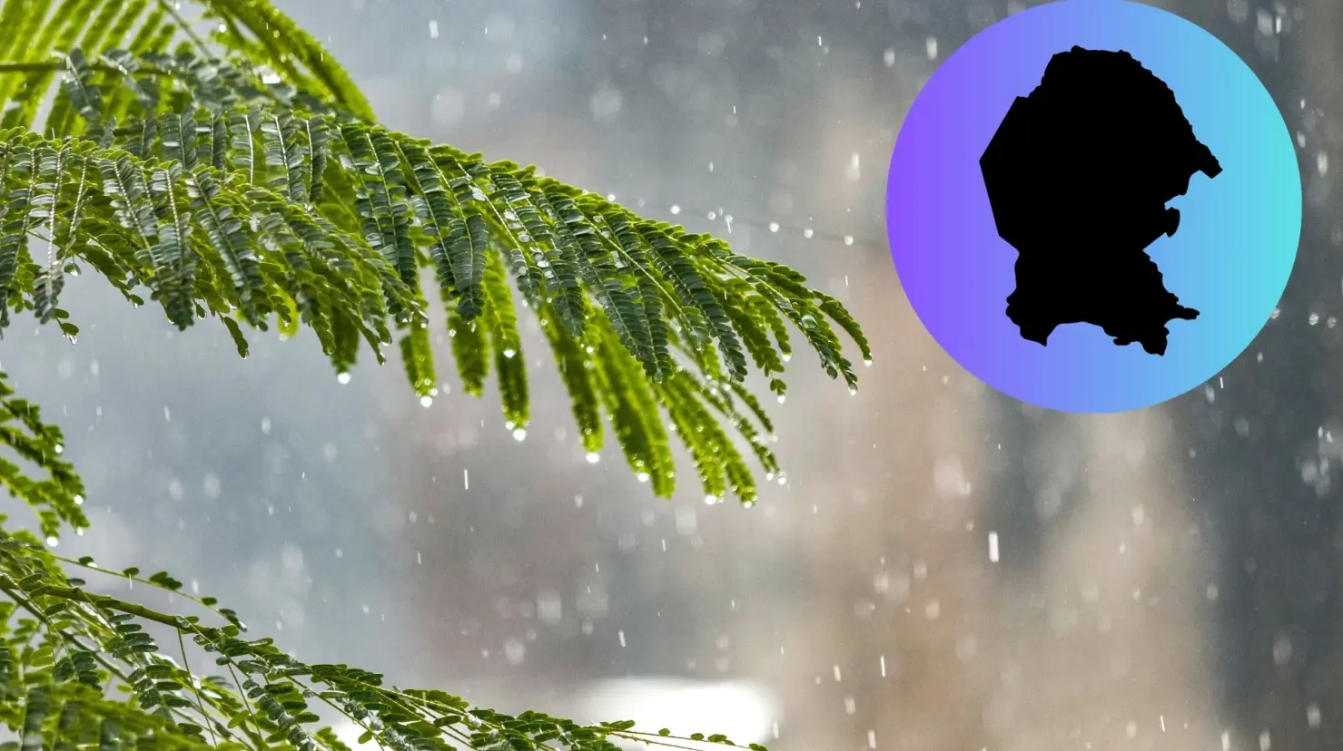 La temporada de lluvias aún no termina en Coahuila. (Fotografía: Canva)