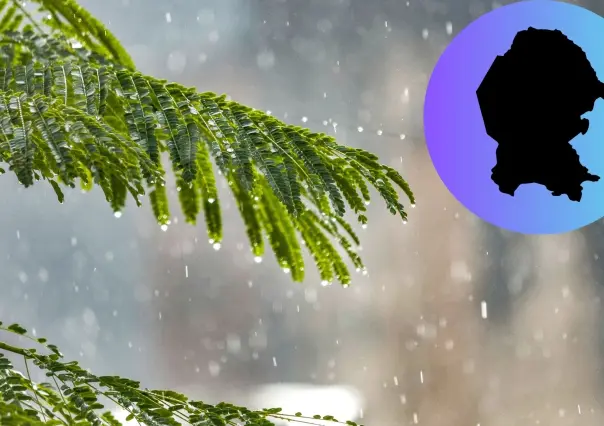 ¿Habrá más lluvias en Coahuila este 2025? Esto dice Protección Civil