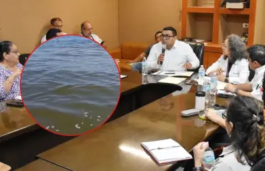 Gobierno del Estado refuerza el monitoreo de marea roja frente a las costas de Yucatán