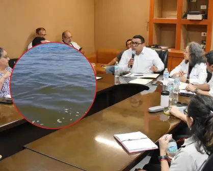 Gobierno del Estado refuerza el monitoreo de marea roja frente a las costas de Yucatán