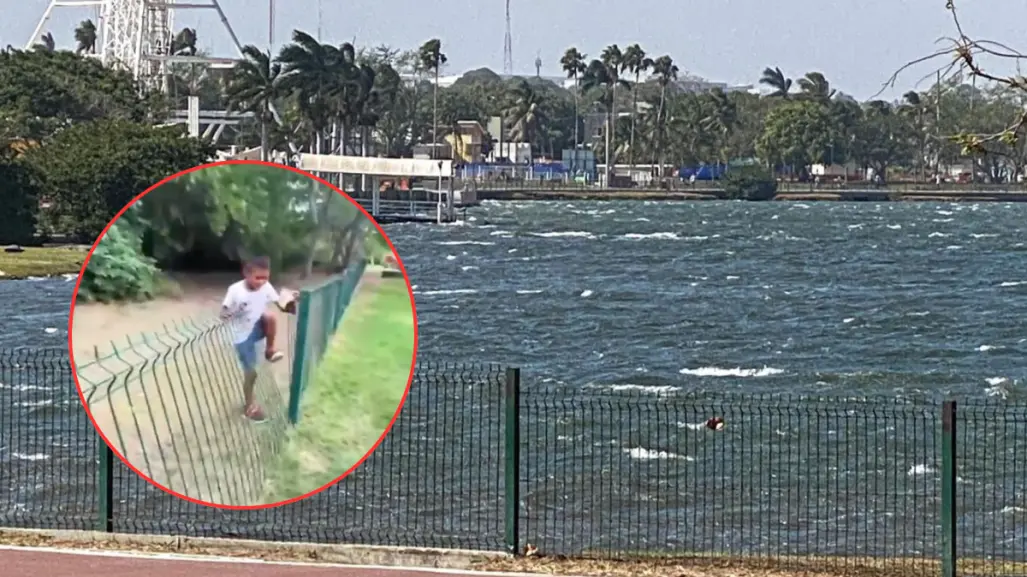 VIDEO | Menor ingresa al hábitat de los cocodrilos en la Laguna del Carpintero en Tampico