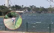 VIDEO | Menor ingresa al hábitat de los cocodrilos en la Laguna del Carpintero en Tampico