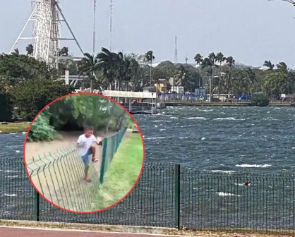 VIDEO | Menor ingresa al hábitat de los cocodrilos en la Laguna del Carpintero en Tampico