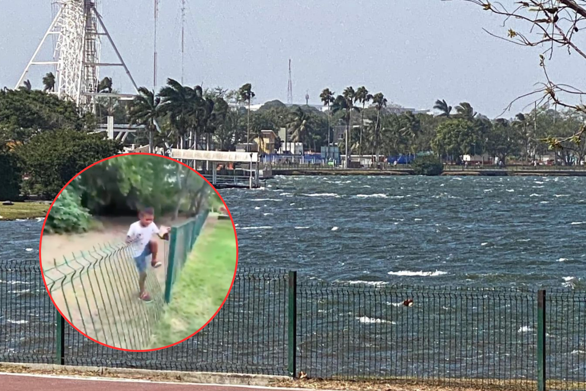 VIDEO | Menor ingresa al hábitat de los cocodrilos en la Laguna del Carpintero en Tampico