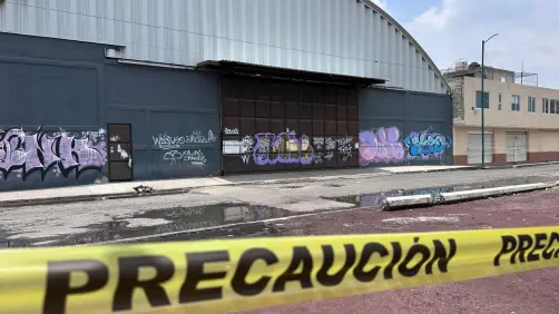 ¿Por qué hay plaga de ratas en Ecatepec? Esto sabemos del origen del nido que aterra a vecinos