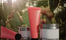 Esta planta tamaulipeca puede ser utilizada como base antes de aplicar el maquillaje