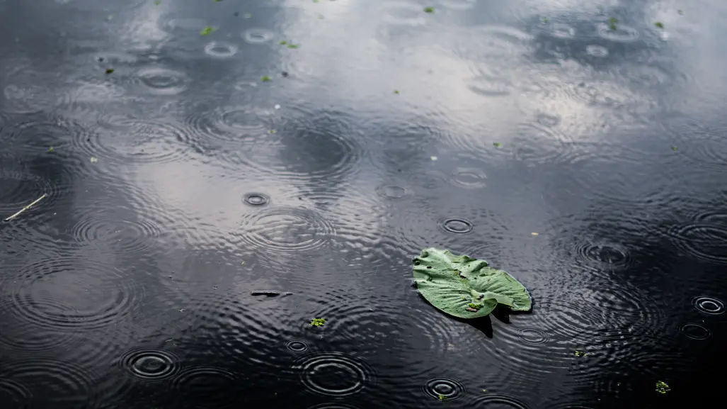 Persiste pronóstico de lluvias para regiones de Tamaulipas HOY 11 de julio
