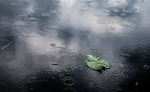 Persiste pronóstico de lluvias para regiones de Tamaulipas HOY 11 de julio