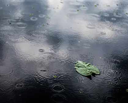 Persiste pronóstico de lluvias para regiones de Tamaulipas HOY 11 de julio