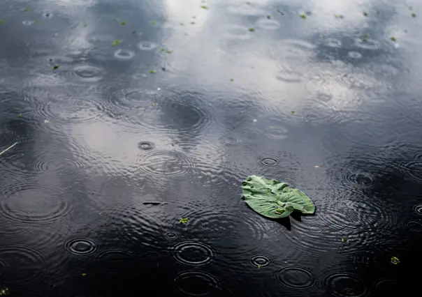 Persiste pronóstico de lluvias para regiones de Tamaulipas HOY 11 de julio