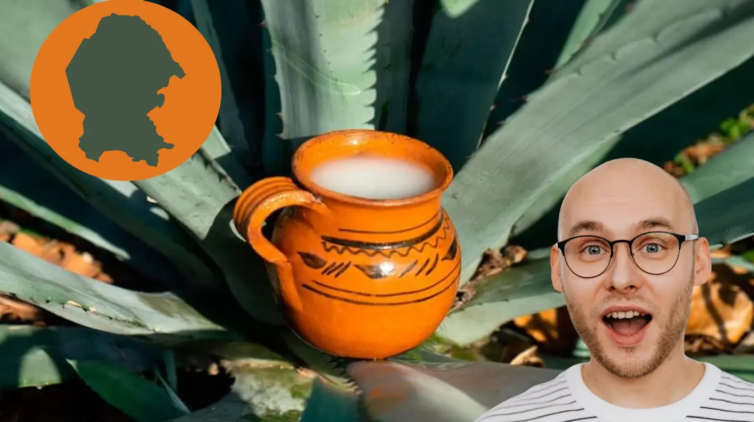 Este tipo de pulque se produce en Saltillo. (Fotografía: Pulque Mayahuel | Canva)