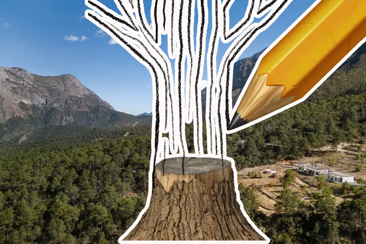 El grupo ya lanzó una convocatoria abierta a personas de Saltillo, Arteaga y Ramos Arizpe, para integrarse a esta jornada ambiental./Foto: Canva