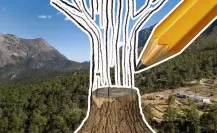 Sierra de Arteaga vuelve a la vida, será reforestada con 10 mil árboles ¿cómo se logrará?