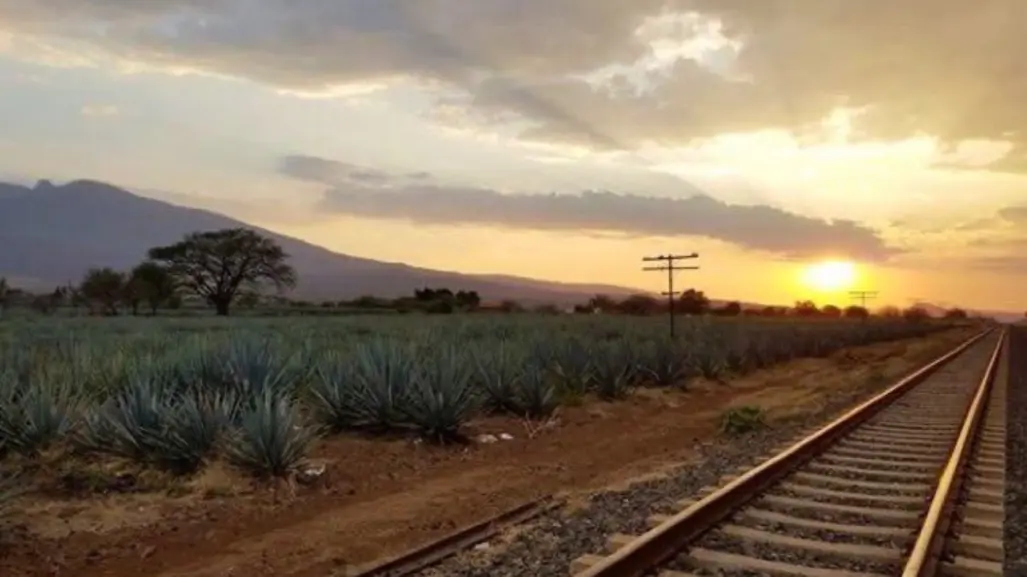 Tequila, mariachi y pueblos mágicos: ruta completa para recorrer Jalisco en 5 días