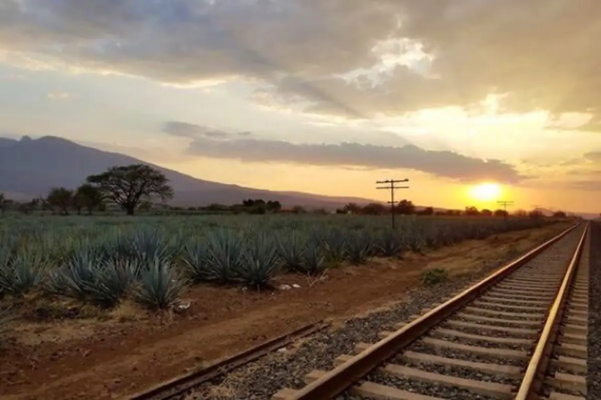 Tequila, Jalisco Foto: X(Twitter) @SECTUR_mx