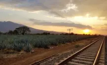 Tequila, mariachi y pueblos mágicos: ruta completa para recorrer Jalisco en 5 días