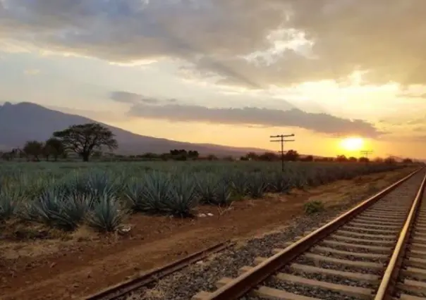 Tequila, mariachi y pueblos mágicos: ruta completa para recorrer Jalisco en 5 días