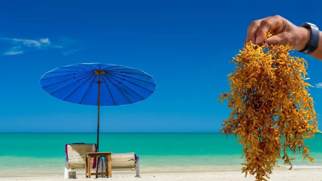 Esta es la playa del caribe que casi nunca tiene sargazo