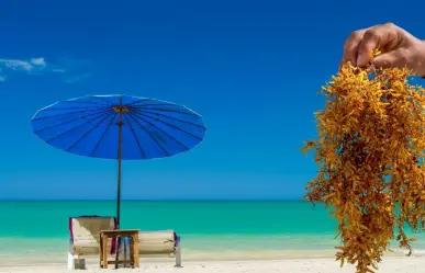 Esta es la playa del caribe que casi nunca tiene sargazo