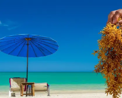 Esta es la playa del caribe que casi nunca tiene sargazo