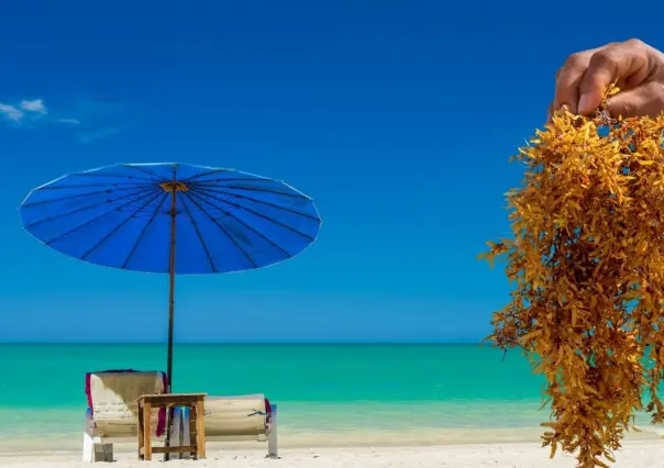Esta es la playa del caribe que casi nunca tiene sargazo