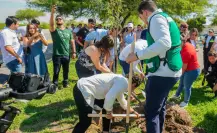 Torreón toma acciones verdes para enfrentar el cambio climático, ¿cuáles son? 