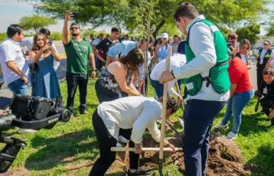 Torreón toma acciones verdes para enfrentar el cambio climático, ¿cuáles son? 