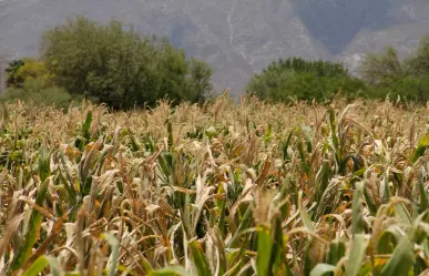 Esto se sabe de las protestas y cierres de carretera de los productores de sorgo en Tamaulipas