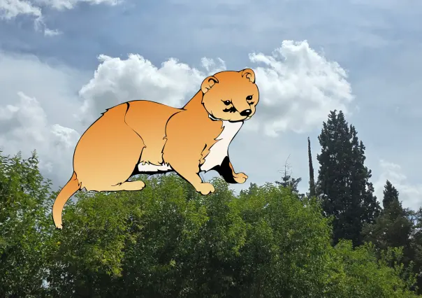 El animal nativo de Durango que se hizo famoso gracias a una popular caricatura