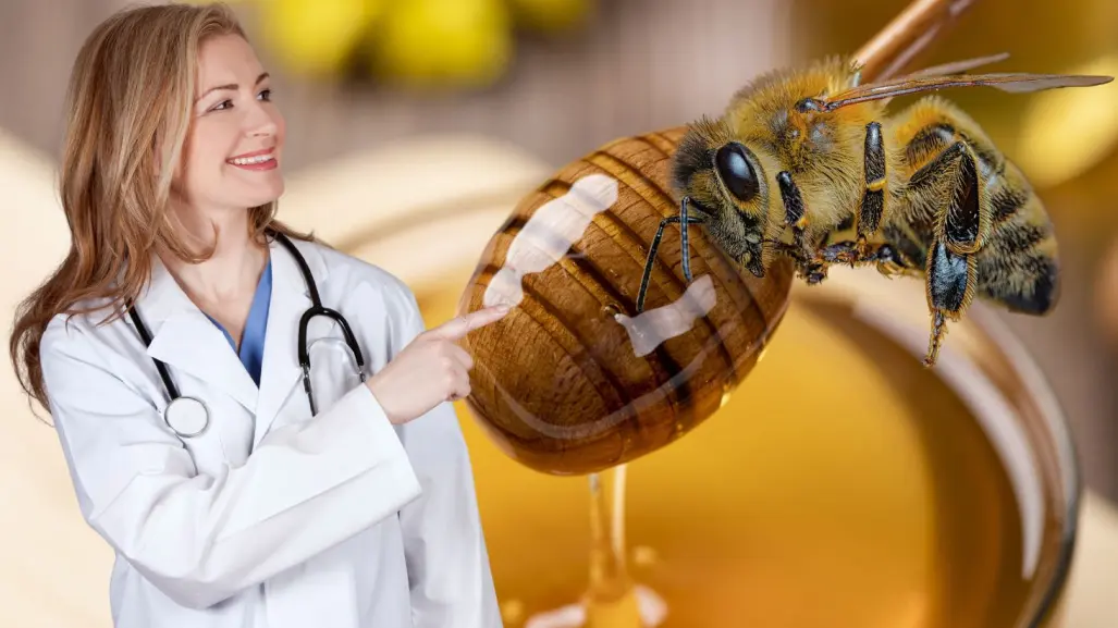 Meliponas, las abejas mayas que producen la miel más pura del mundo