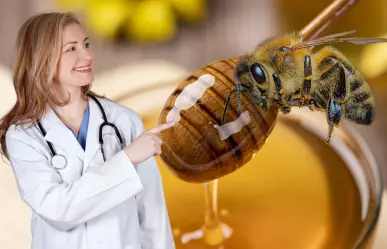 Meliponas, las abejas mayas que producen la miel más pura del mundo