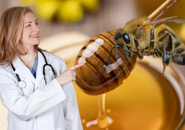 Meliponas, las abejas mayas que producen la miel más pura del mundo