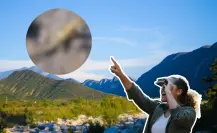 Este animal nativo de Nuevo León se esconde bajo piedras en los bosques de la sierra