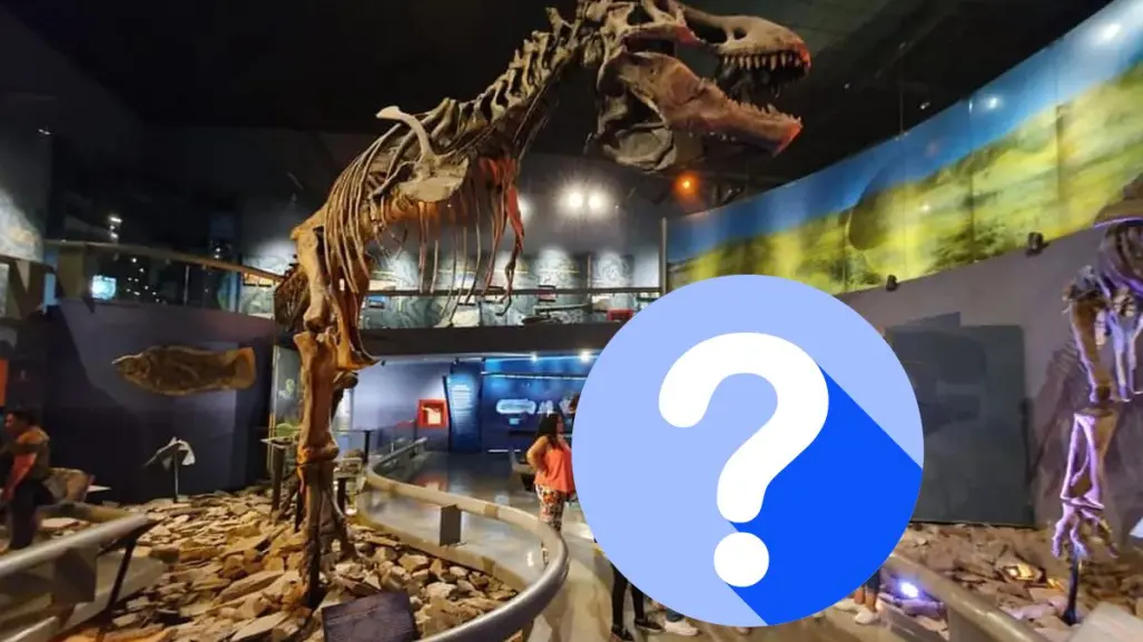 Esta es la nueva especie que llegó al Museo del Desierto de Saltillo
