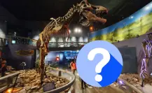 Esta es la nueva especie que llegó al Museo del Desierto de Saltillo