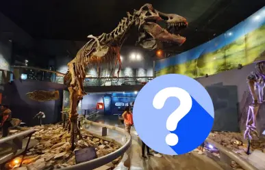 Esta es la nueva especie que llegó al Museo del Desierto de Saltillo