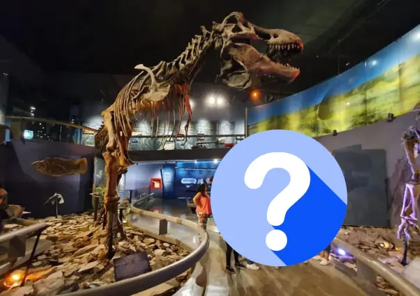 Esta es la nueva especie que llegó al Museo del Desierto de Saltillo