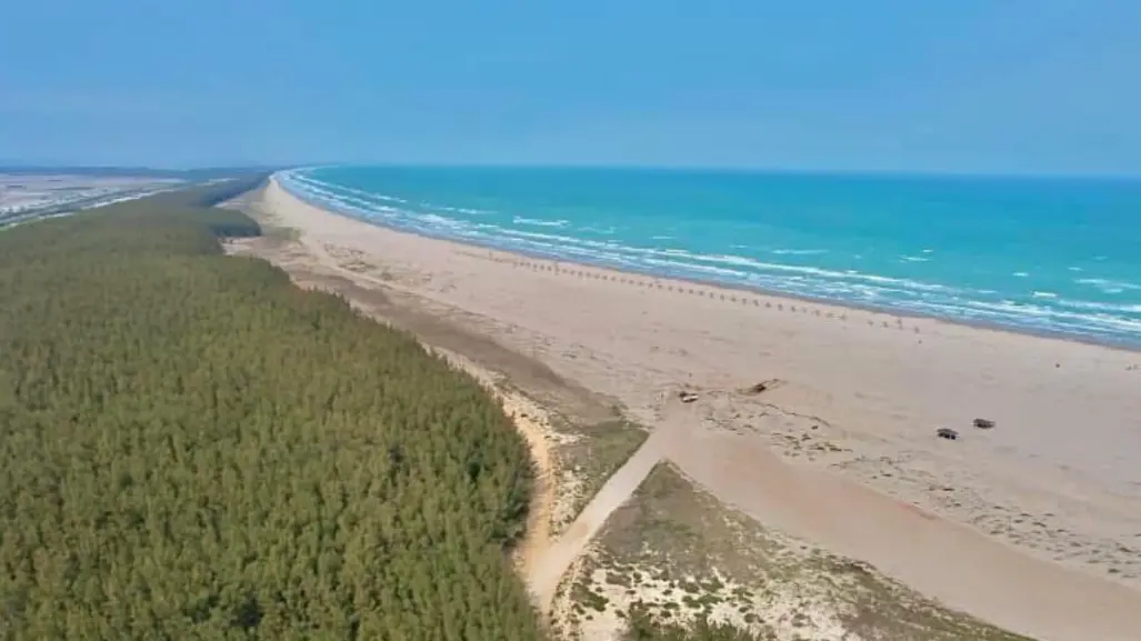 Mar cristalino y manglares: Playa Tesoro Altamira Tamaulipas