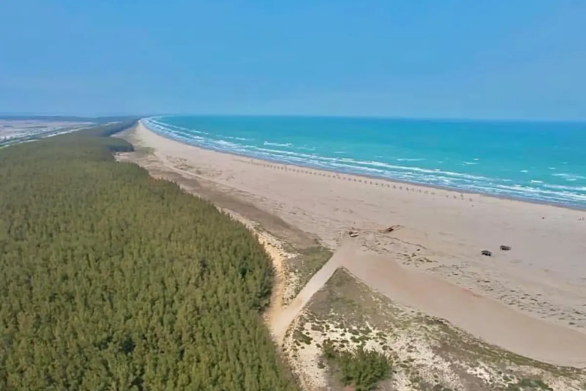 Explora la belleza única de la Playa Tesoro Altamira en Tamaulipas. Mar cristalino y turismo ecológico te esperan