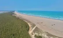 Mar cristalino y manglares: Playa Tesoro Altamira Tamaulipas