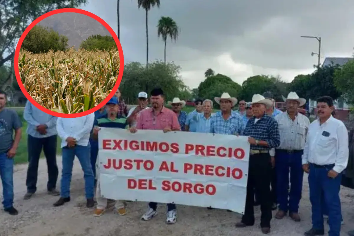 Descubre la respuesta del Secretario de Desarrollo Rural a las protestas de productores en Tamaulipas por demandas de sorgo