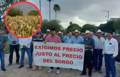 Desarrollo Rural: "apoyos a productores de sorgo rebasa capacidad de gobierno del estado