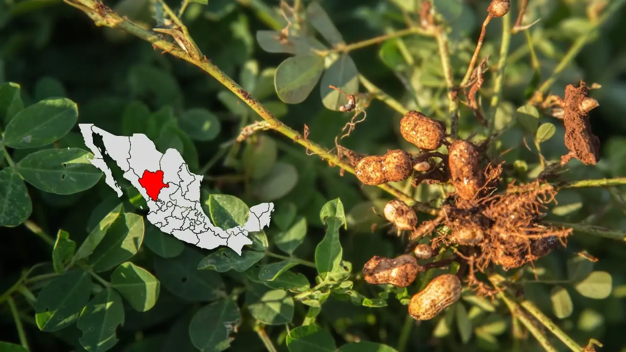 El río de Durango que hizo posible el nacimiento de un municipio cacahuatero | Foto: Imagen ilustrativa