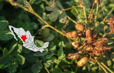 El río de Durango que hizo posible el nacimiento de un municipio cacahuatero