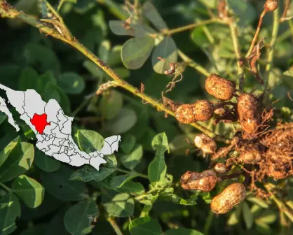 El río de Durango que hizo posible el nacimiento de un municipio cacahuatero