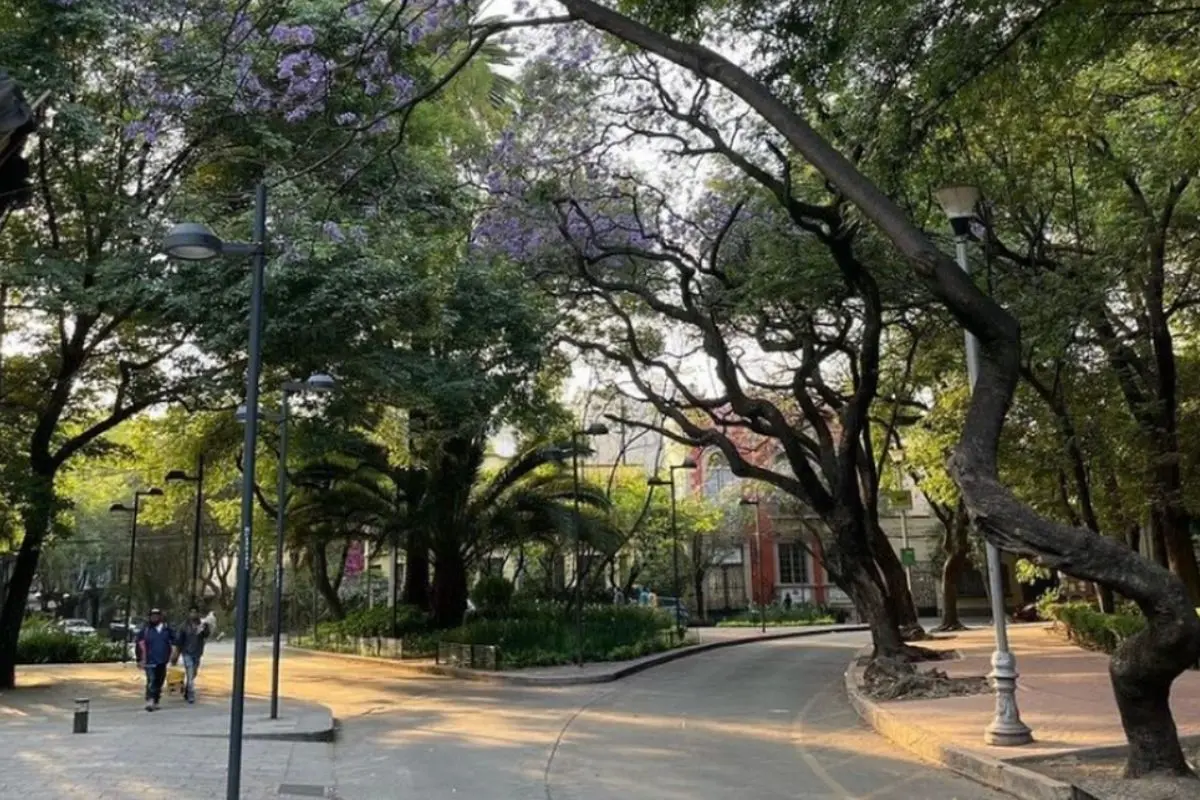 Calle de la colonia Hipódromo Condesa en CDMX. Foto: IG (@condesacdmx)