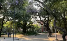 Este barrio de CDMX es el más hípster, brilla por su glamour y arquitectura única