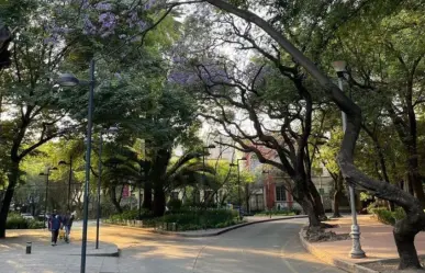 Este barrio de CDMX es el más hípster, brilla por su glamour y arquitectura única